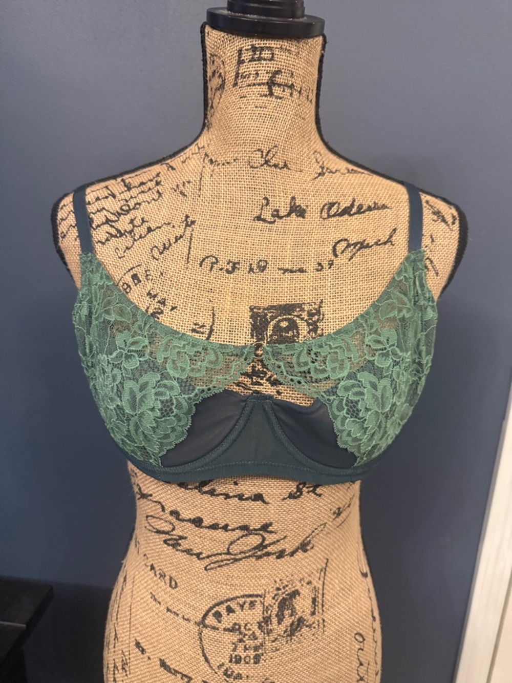 Adore Me Lace Underwire Bra in Dark Green 36D